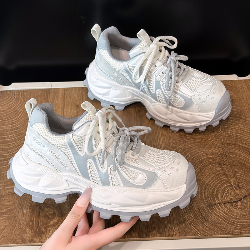 Mesh Chunky Sneakers Women Bre - Women Shoes Tennis recension och pris